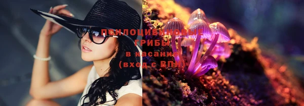 амфетамин Алексеевка
