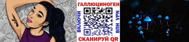 Псилоцибиновые грибы Psilocybine cubensis  как найти   OMG   Невьянск 